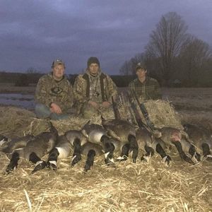 Meet your Posher, Cody